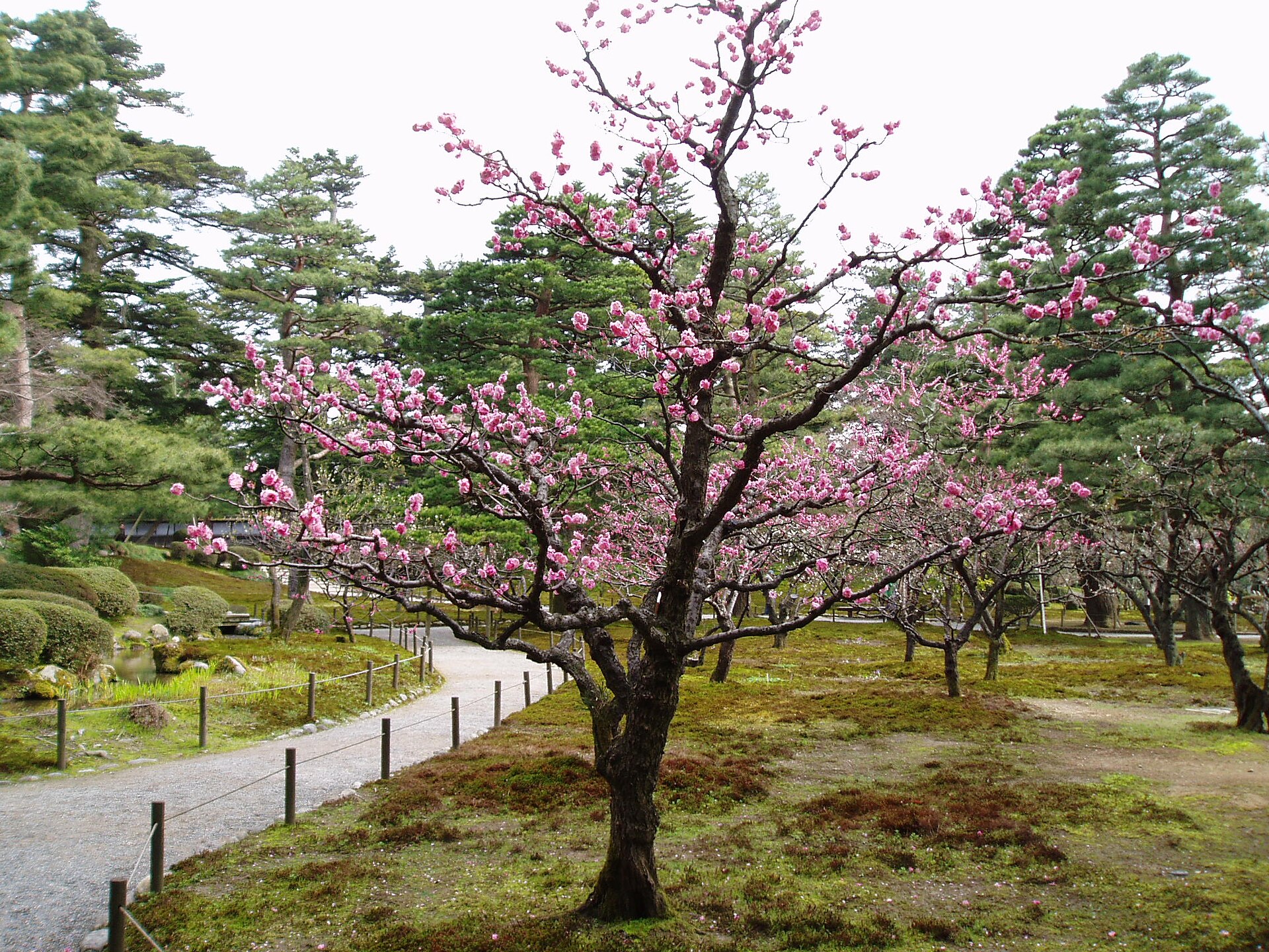 Kanazawa, Japan