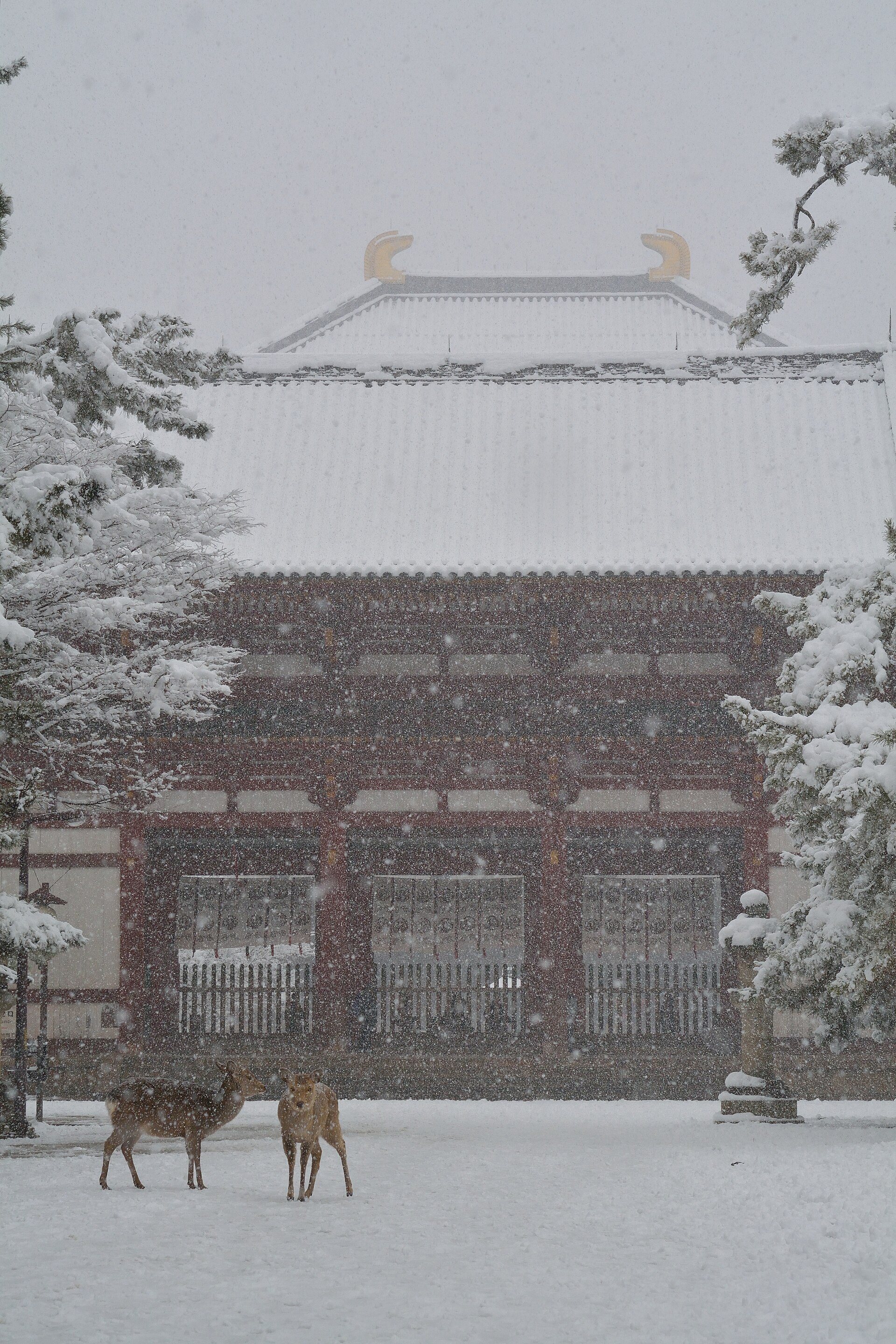 Nara, Japan